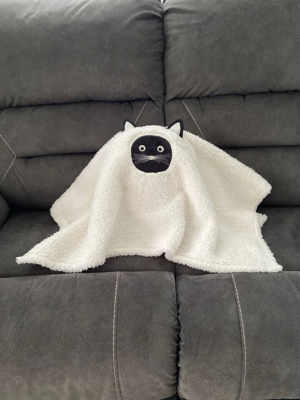 Scaredy Cat Pillow Pottery Barn NWT